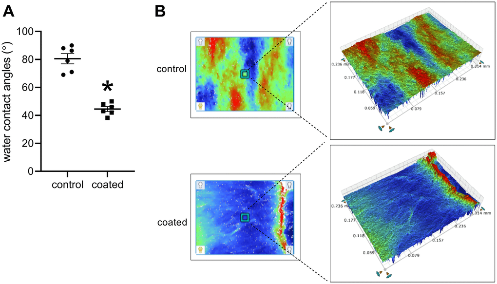 (A) Water contact angles, *p n = 6. (B) 3D optical microscopy images of each sample, n = 6.