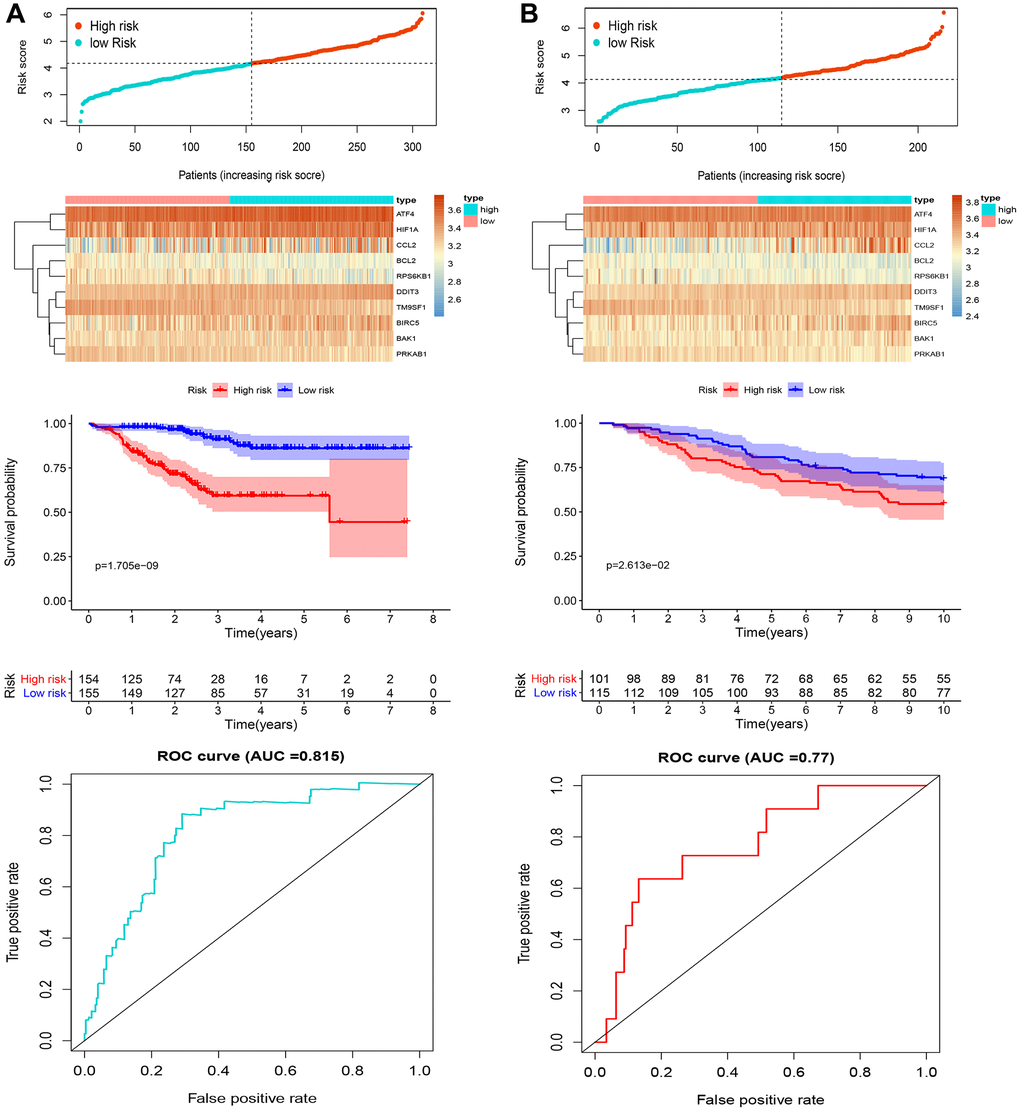 Analysis of candidate ARGs. Distribution of risk score, heatmap representation, Kaplan-Meier survival curves, and ROC curves for the autophagy-related signature in (A) the training cohort and (B) the validation cohort.