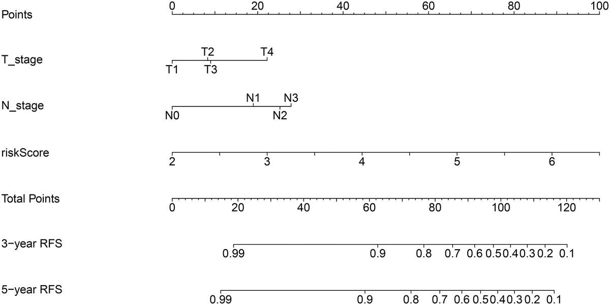 Nomogram for predicting 3- and 5-year RFS of BC patients. The nomogram was constructed by integrating ARG signature’s risk score and patient’s T and N stage data.