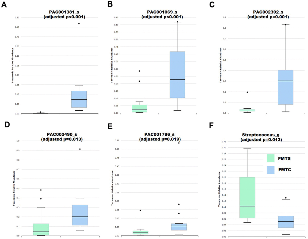 Effects of fecal microbiota transplantation from anesthesia-treated (FMTS, n = 14) and control (FMTC, n = 13) mice on the composition of the host gut microbiota of pseudo-germ-free mice. (A) Species PAC001381