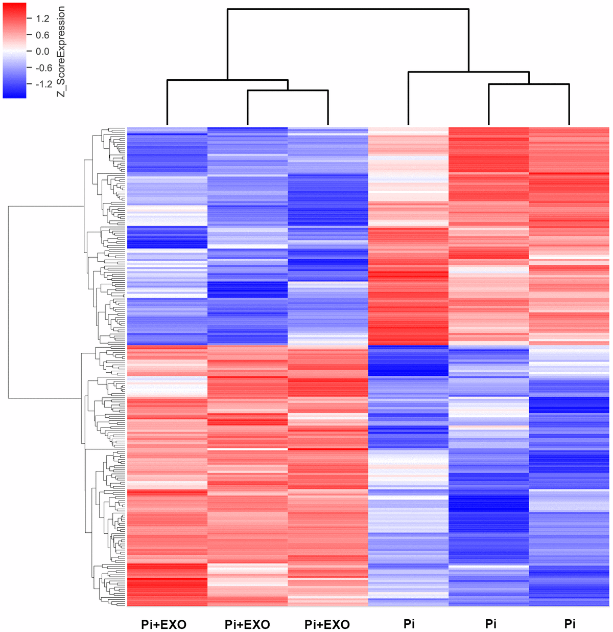 Hierarchical clustering analyses of differentially expressed lncRNAs.