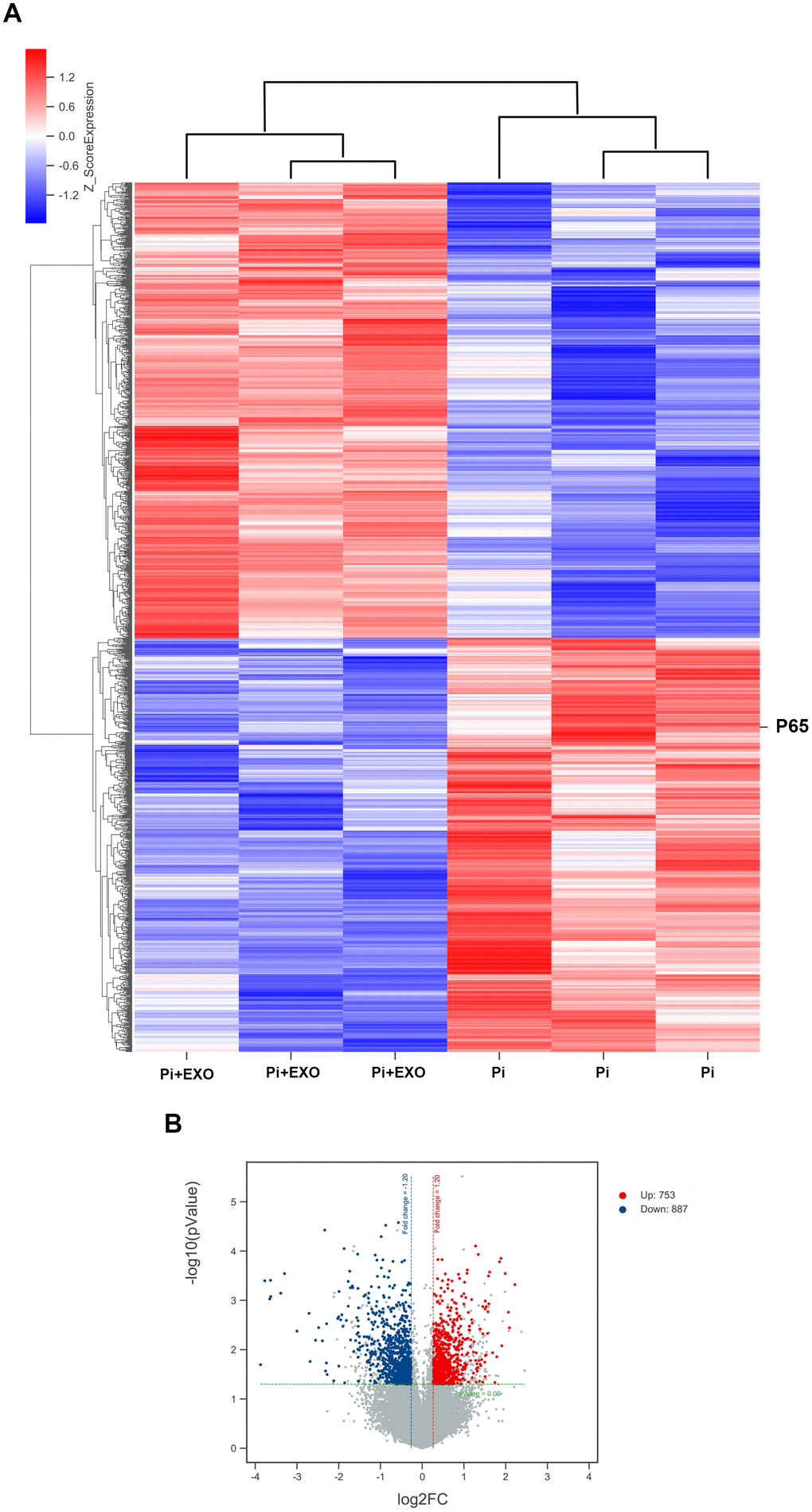 (A) Hierarchical clustering analyses. (B) Volcano map of DEGs.