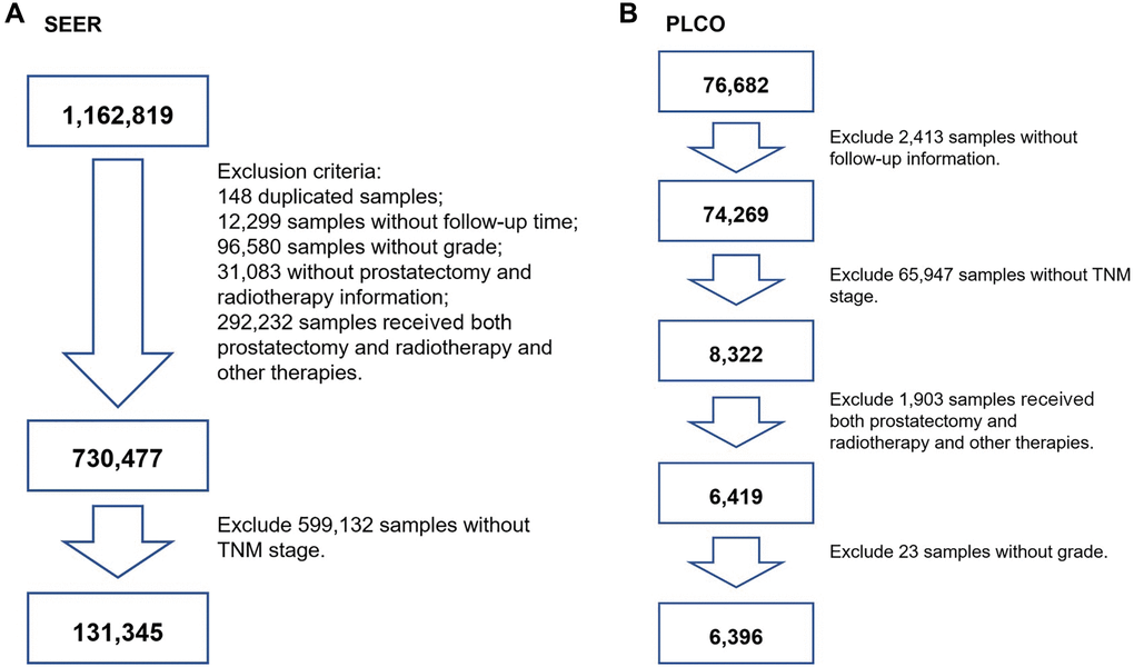 The flowchart of screening participants using the SEER and PLCO cohort. (A) for SEER screening, (B) for PLCO screening. TNM stage: tumor node metastasis stage.