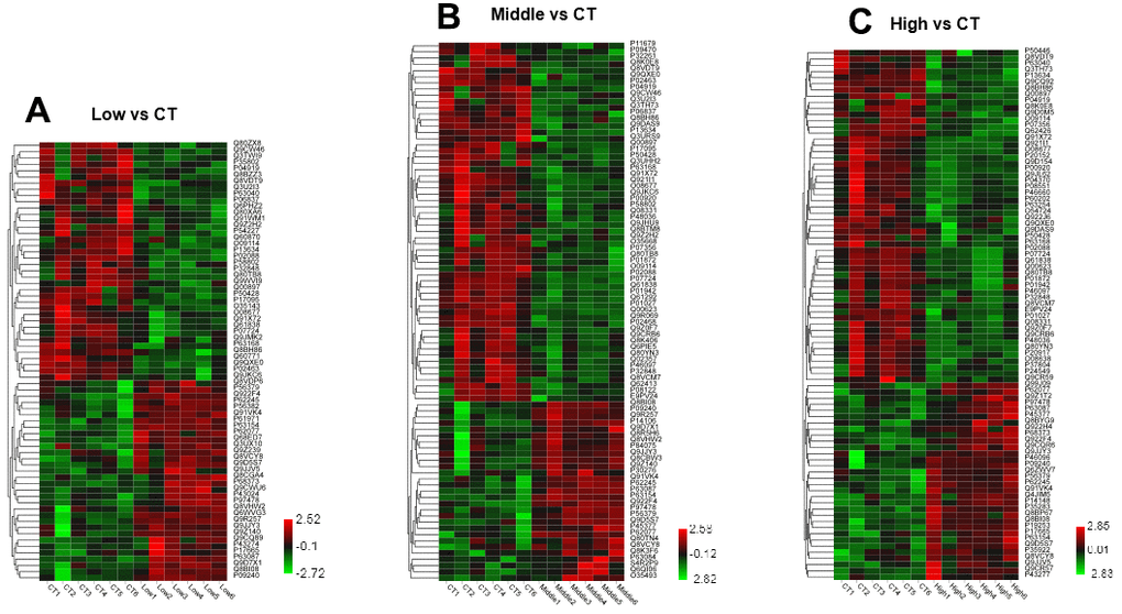 Heat map of altered proteins induced by STX treatment in mice. (A) Hierarchical clustering of 70 changed proteins in the hippocampus between Low dose STX exposure group and CT group. (B) Hierarchical clustering of 87 changed proteins in the hippocampus between Middle dose STX exposure group and CT group. (C) Hierarchical clustering of 86 changed proteins in the hippocampus between High dose STX exposure group and CT group. (criteria: ratio {greater than or equal to}1.2 represented up-regulation or ratio 