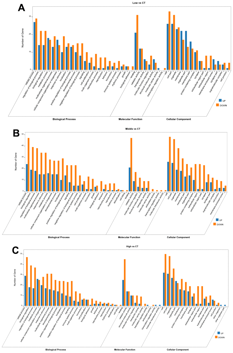 OmicShare Gene Ontology (GO) enrichment analysis of biological process (BPs), molecular functions (MFs) and cellular component (CCs) for the differentially expressed proteins in the hippocampus. (A) Low dose STX exposure group vs CT group. (B) Middle dose STX exposure group vs CT group. (C) High dose STX exposure group vs CT group. and listed according to the -Log2 (Fold Change).