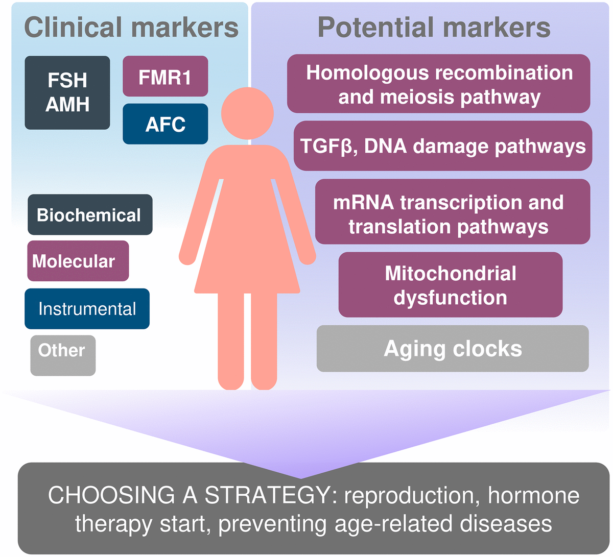 Biomarkers of reproductive and somatic aging ana personification the approach to managing patients.