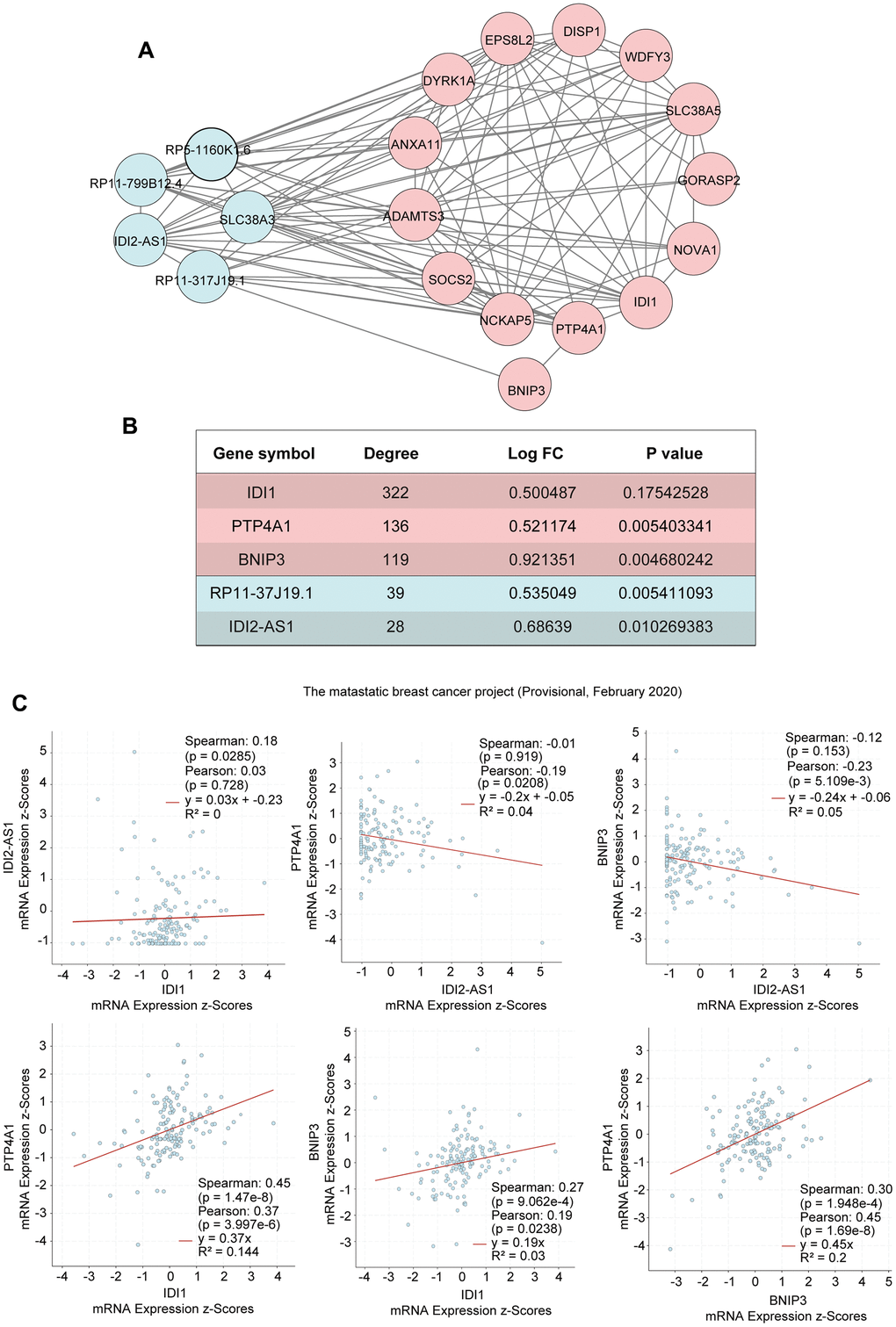 Interactions of the genes in the yellow module. (A) The interactions between five differentially expressed genes and differentially expressed lncRNAs in the yellow module. (B) The five differentially expressed genes in the yellow module. (C) Gene correlation scatter plots of the yellow module. The Pearson correlation coefficients of IDI2-AS1 and IDI1, IDI2-AS1 and PTP4A, IDI2-AS1 and BNIP3, PTP4A and IDI1, BNIP3 and IDI1, and PTP4A and BNIP3.