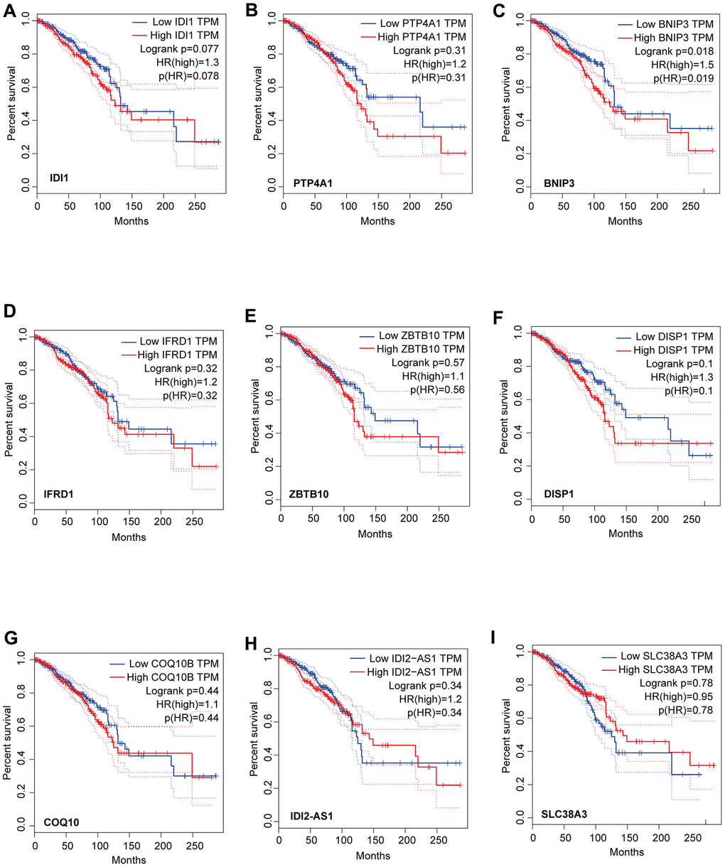 Analysis of overall survival based on the expression of the seven genes and two lncRNAs in the core driver gene network. Survival was measured using Kaplan-Meier analysis based on the expression of IDI1 (A), PTP4A1 (B), BNIP3 (C), IFRD1 (D), ZBTB10 (E), DISP1 (F), COQ10B (G), IDI2-AS1 (H), and SLC38A3 (I). The X-axis displays the survival time (Months), and the y-axis displays the percentage survival.