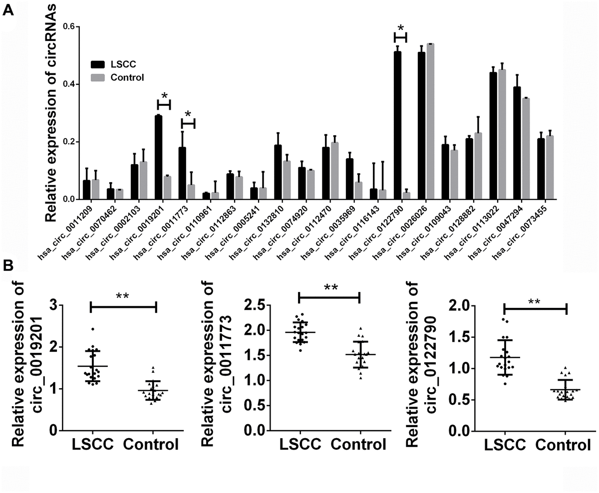 Validation of candidate circRNA in training set. (A) Total 20 paired plasma from LSCC patients, and 20 cancer-free controls were used in RT-qPCR analysis. (B) The detailed expression of circ
