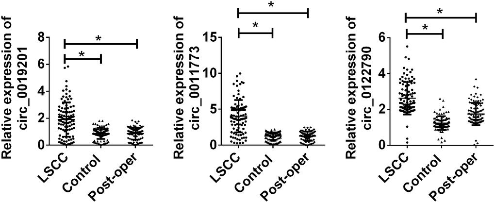 Validation of candidate circRNA in n validation set. Total 100 paired plasma from LSCC patients, and 100 cancer-free controls were used in RT-qPCR analysis. Data was presented as mean ± SEM. Data was analyzed with student t test, * indicated p 