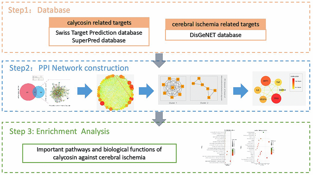 Flowchart of the current bioinformatics tools used for this study to reveal the pivotal targets and molecular mechanisms underlying the anti-CIRI action of calycosin through network pharmacology and molecular docking methods.