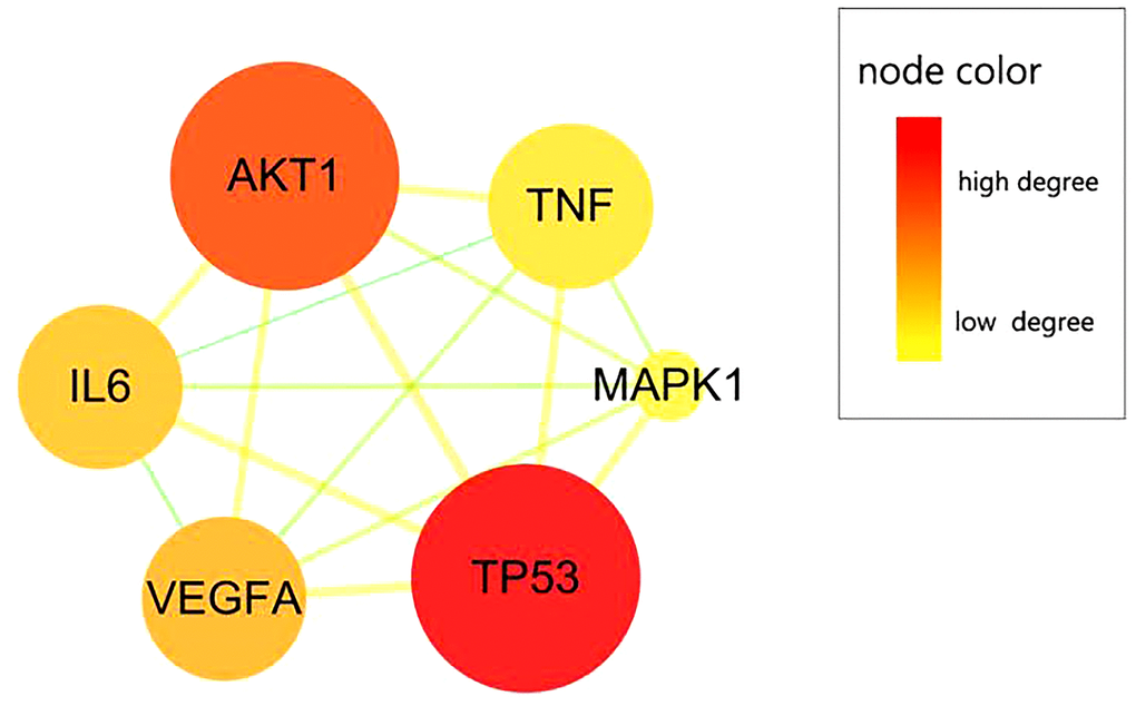 CIRI-related pivotal targets of calycosin. Six pivotal targets were screened and identified from merged targets, namely TP53, AKT1, VEGFA, IL6, TNF, and MAPK1.