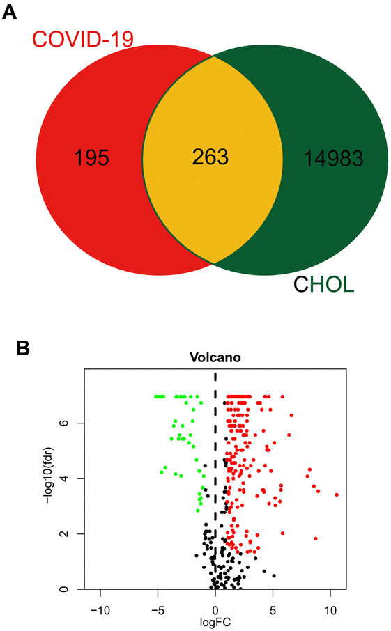 Identification of CHOL/COVID-19-assocaited genes. (A) Venn diagram depicted the number of intersecting genes in CHOL/COVID-19. (B) Volcano-plot showed the expression level of differential expressed genes (DEGs) found in CHOL. The genes with |log2 (fold change)| > 1 and -log10(FDR) > 1.3 were considered as DEGs.