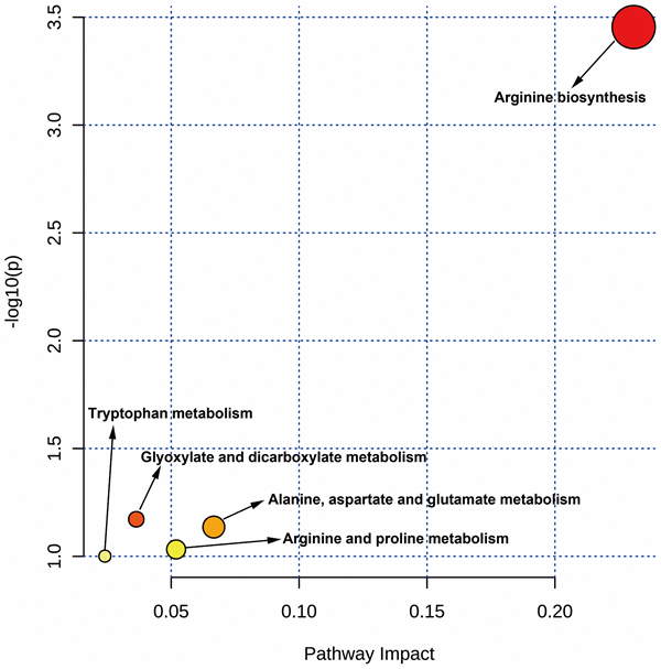 MetaboAnalyst analysis showed the targeted metabolic pathways by VA against CHOL/COVID-19.