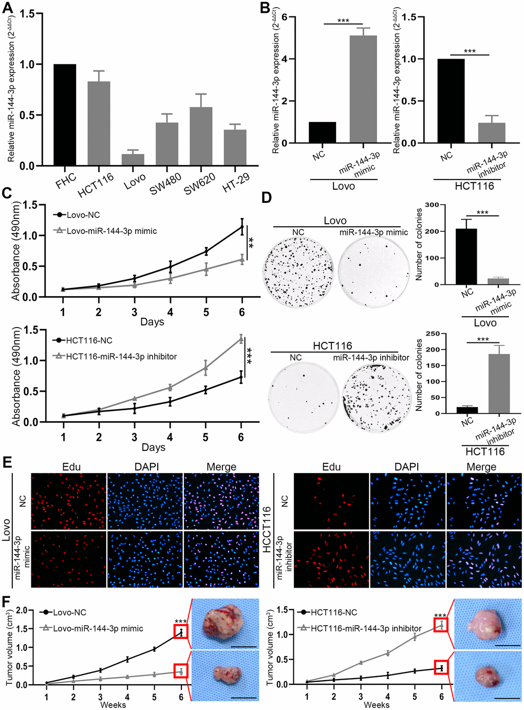 Mir 144 3p Inhibited The Growth Metastasis And Epithelial Mesenchymal Transition Of Colorectal