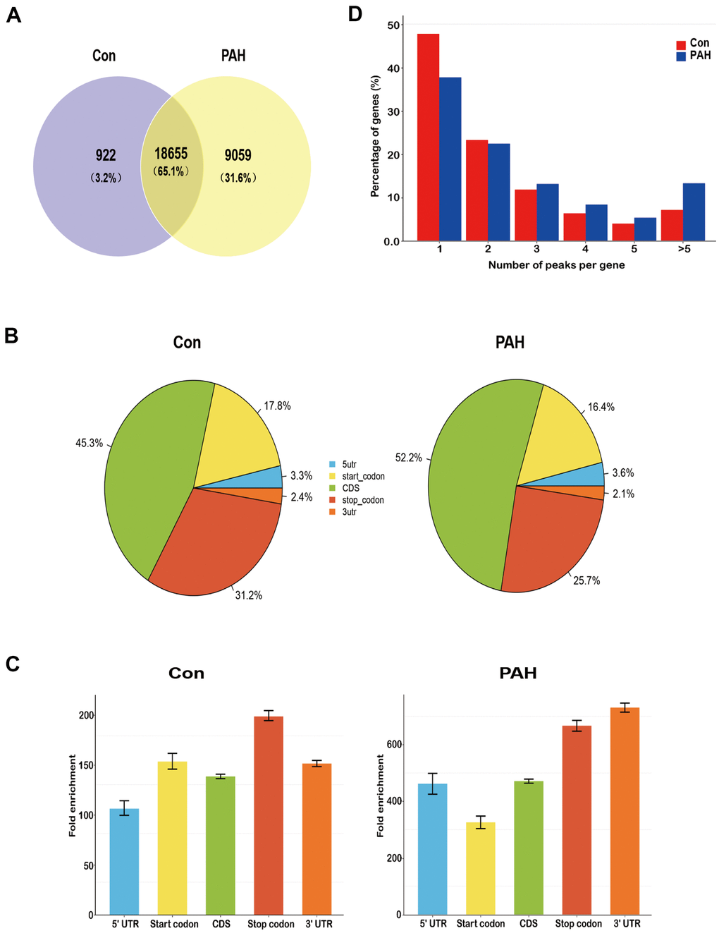 Overview of N6-methyladenosine methylation within mRNAs in the control and MCT groups. (A) Venn diagram showing the overlap of m6A peaks within mRNAs in two groups. (B) Pie charts showing the percentage of m6A peaks in five non-overlapping segments of transcripts. Both the control group and the PAH group had the most abundant m6A peak in the coding sequence. (C) Distributions of fold enrichment of m6A peaks in five segments. The mean fold enrichment in the stop codon segments was the largest in the control group, while that value in 3' UTR was the largest in the PAH group. Error bars represent the standard error of the mean. (D) Proportion of genes harboring different numbers of m6A peaks in two groups. Most genes have only one m6A peak.