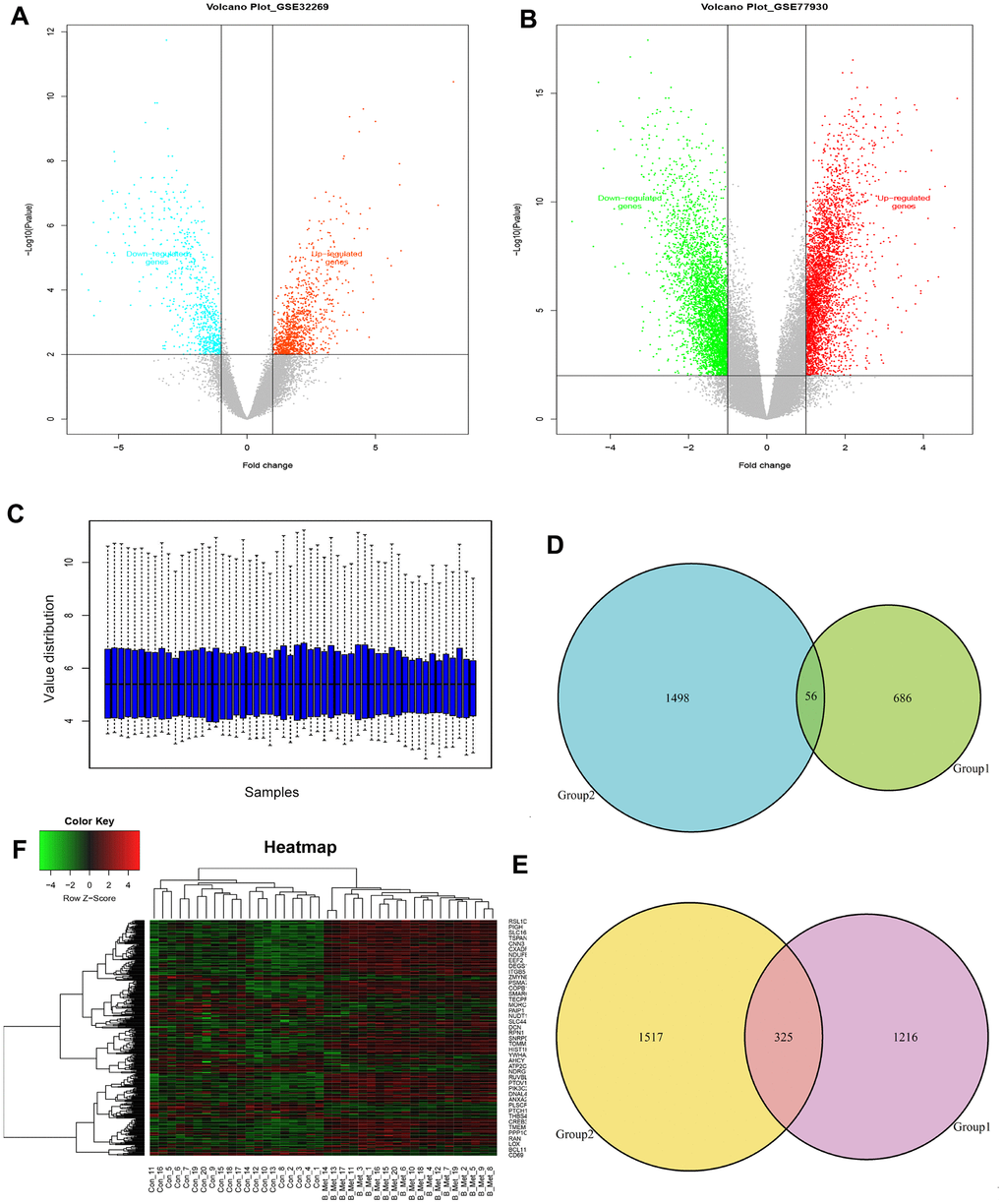 Identification of the overlapping DEGs in GSE32269 and GSE77930. Volcano plots of DEGs from analyzed microarray data of GSE32269 (A) and GSE77930 (B). (C) The gene expression distribution after normalization. Venn plots for the overlapping downregulated (D) and upregulated (E) DEGs. (F) The dendrogram of overlapping DEGs. Red represents higher expression and green represents lower expression. The criteria used to select DEGs were P 1. DEGs, differentially expressed genes.