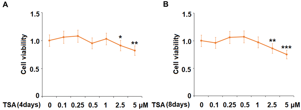 The effects of TSA on cell viability of 3T3-L1 cells. Cells were stimulated with 0.1, 0.25, 0.5, 1, 2.5, and 5 μM TSA for 4 days and 8 days. (A) Cell viability was determined using an MTT on day 4; (B) Cell viability was determined with MTT on day 8 (n= 5-6, *, **, ***, P