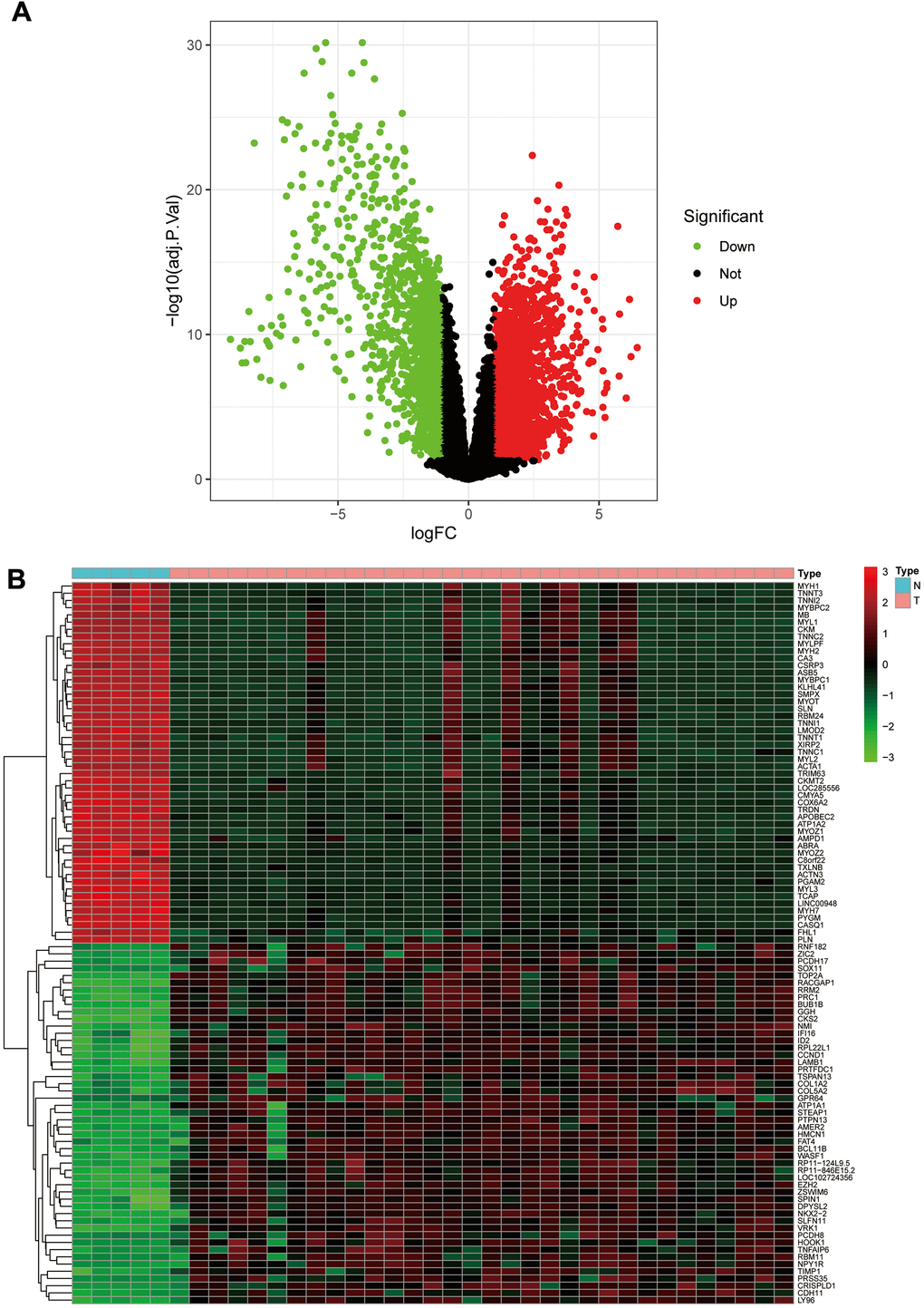 The volcano plot and heat map of differentially expressed genes. (A) The volcano plot; red dots are upregulated genes, green dots are downregulated genes, and black dots are nonsignificant differentially expressed genes. (B) The heat map; red rectangular blocks are highly expressed genes, and green rectangular blocks are poorly expressed genes.