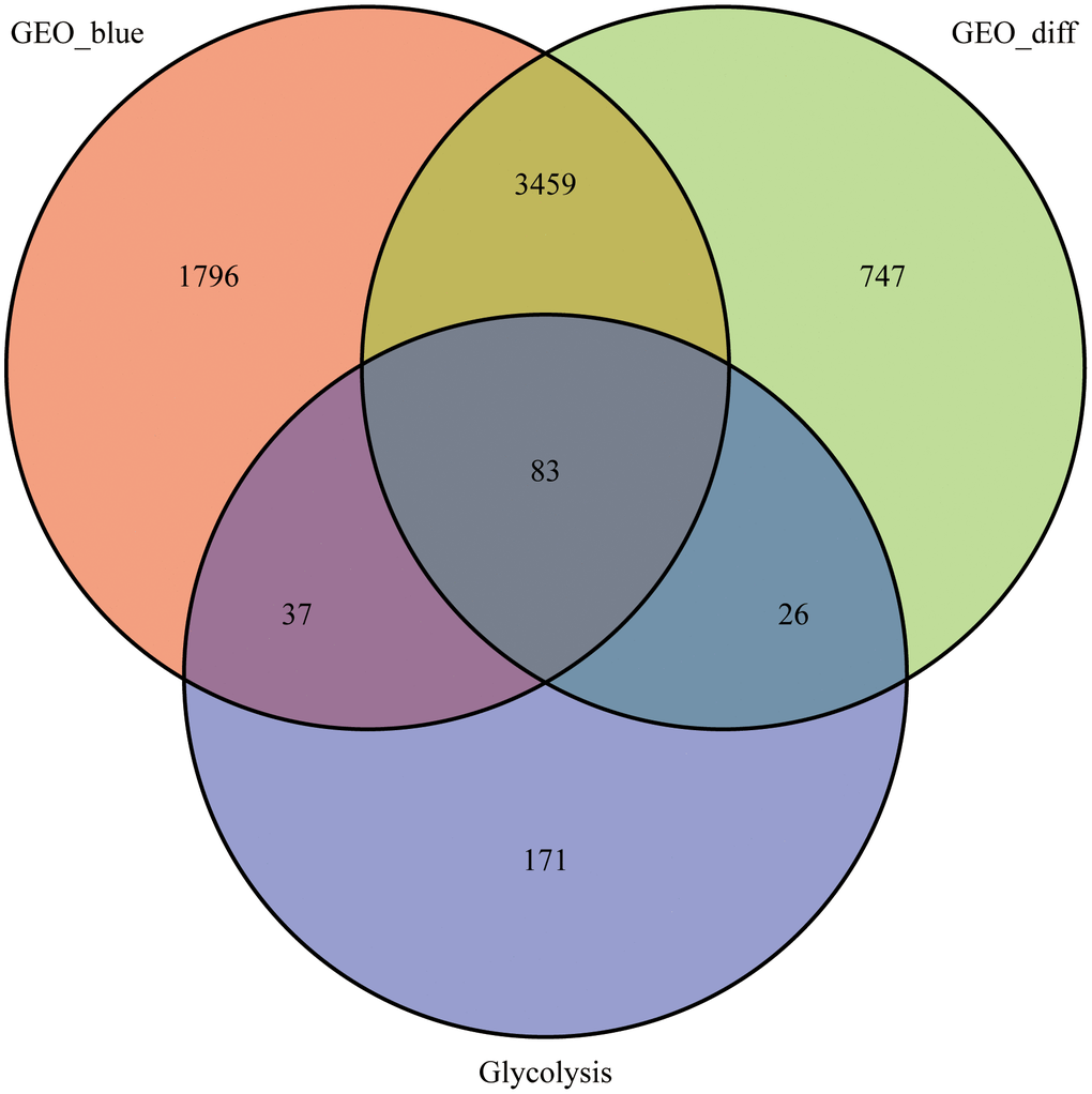 Venn diagram. 83 intersecting genes for the blue module, differentially expressed genes and glycolysis-related genes identified using the WGCNA.