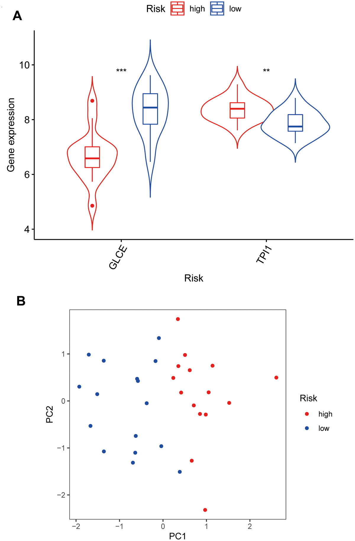 Violin plots and principal component analysis plots of model gene expression based on high and low risk. (A) The plot showing that GLCE expression values in the low-risk group are higher than those in the high-risk group; TPI1 expression values in the high-risk group are higher than those in the low-risk group. (B) The principal component analysis plot; red points representing localisation of the high-risk group on the right side of the PC1 axis and that of the low-risk group on the left side of the PC1 axis.