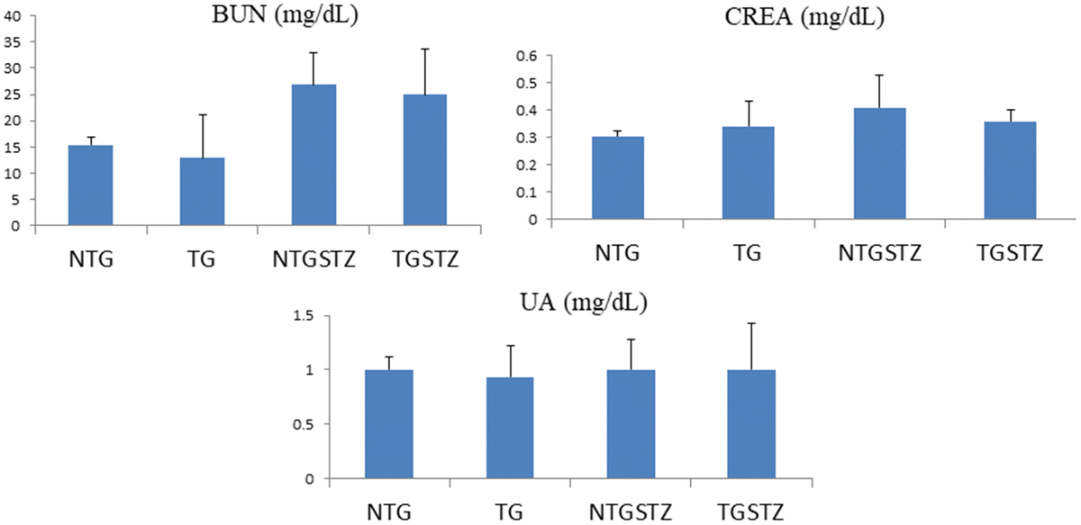 Effects of cardiac specific IGFIIRα overexpressing DM rats on Blood serum. Blood serum analysis (n=6) shows difference in blood urea nitrogen (BUN), creatinine (CREA) and uric acid (UA)levels between Non-transgenic rats (NTG), transgenic (TG), NTG-streptozotocin induced diabetes model (NTGSTZ), TG streptozotocin induced diabetes model (TGSTZ).