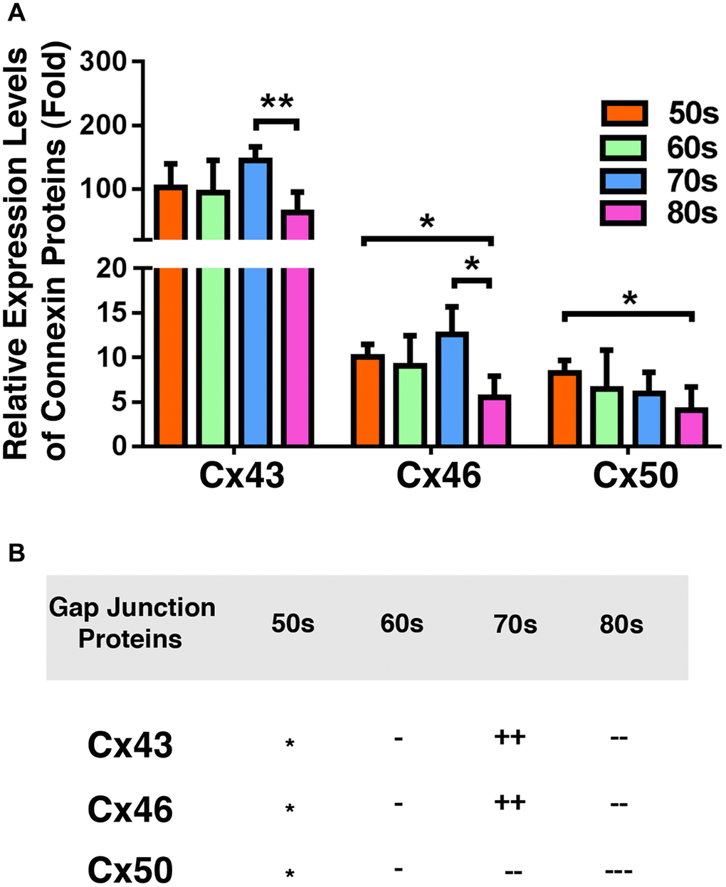 Comparison of the connexins Cx43, Cx46 and Cx50 levels in the epithelia of human cataractous lenses of different age groups. (A) Relative expression levels of Cx43, Cx46 and Cx50 in the epithelia of human cataractous lenses of different age groups as indicated (50s, 60s,70s, 80s). Each bar represents an average of 12 samples for cataract lenses. (B) Summary of age-dependent changes of Cx43, Cx46 and Cx50 in cataract samples of different age groups. The levels of all samples from the patients of 50s age group are used as references indicated by star symbol ‘*’. +, ++, and +++ represent increases in protein levels between 0.1% and 24.99%, 25% and 50%, and >50%, respectively; −, −−, and −−− stands for decreases in protein levels between 0.1% and 24.99%, 25% and 50%, and >50%, respectively.