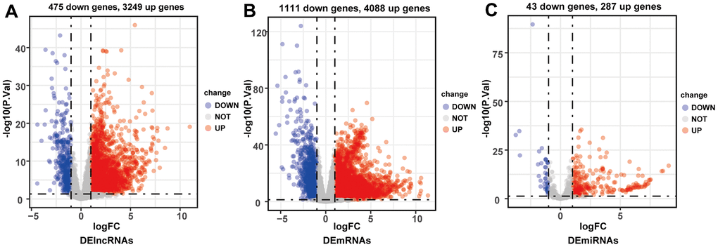 Volcano plots of differentially expressed lncRNAs (A), mRNAs (B) and miRNAs (C). Red plots represented up-regulated genes and green ones represented down-regulated ones. Black plots were genes that did not reach the criteria of differentially expressed genes.