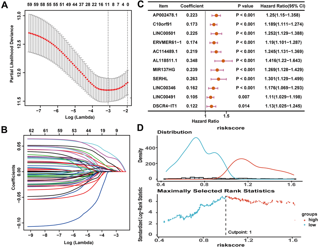 An 11-lncRNA immune-related signature was established to predict the overall survival of HCC patients. (A) 10-fold cross-validations result identified optimal values of the penalty parameter λ. (B) LASSO coefficient profiles of lncRNA with p C) The association between each lncRNA and overall survival. (D) The optimal cutoff value of the risk score.
