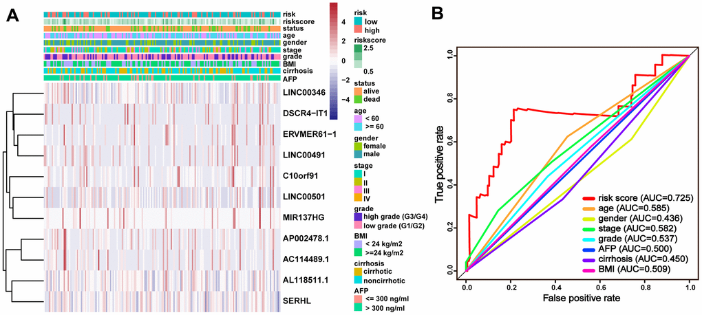 Clinical characteristics with the lncRNA prognostic signature in the entire TCGA-LIHC cohort. (A) Distribution of clinicopathologic features, and lncRNA expression in the low-risk and high-risk groups; (B) time-dependent ROC curves and AUC for 5-year overall survival.