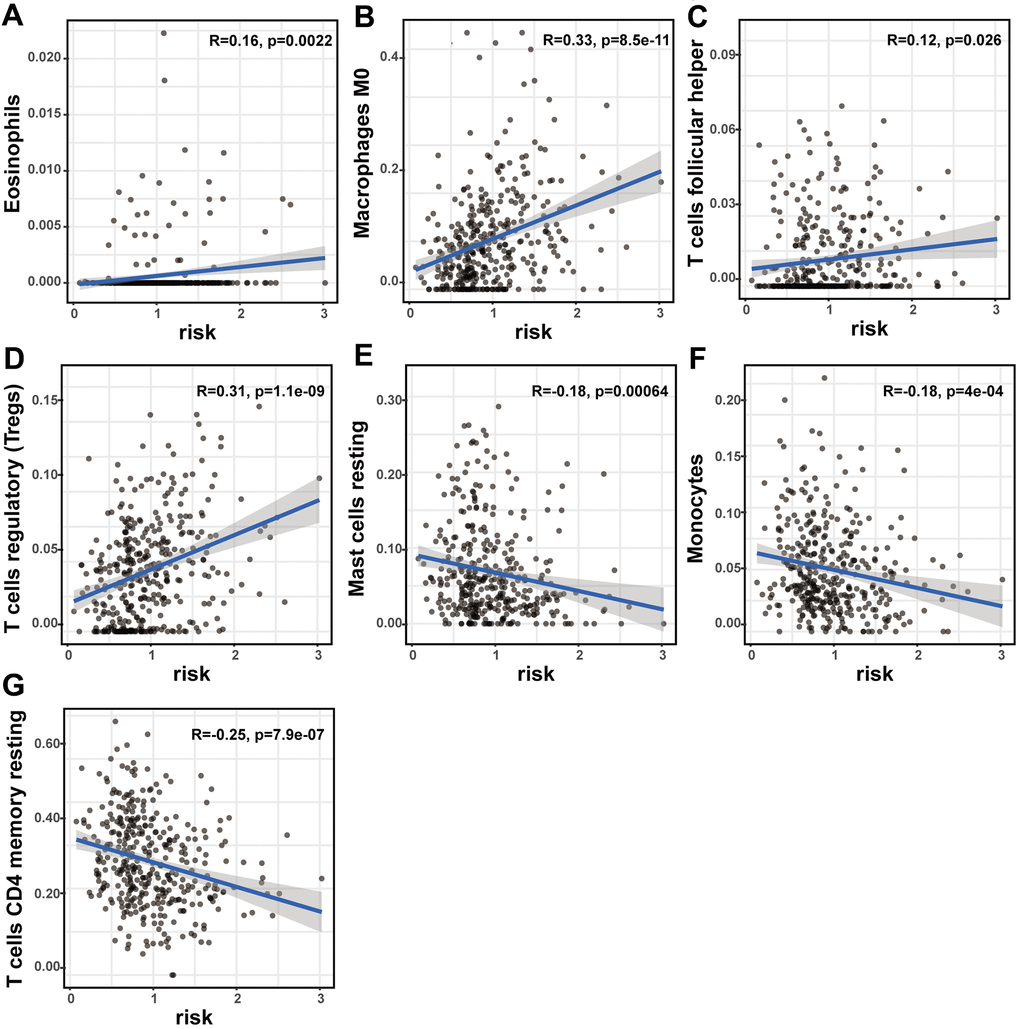 The correlation of the lncRNA signature with immune cell infiltration and ICB therapy-related genes. The association of the lncRNA signature and tumor immune cell infiltration. The significant correlation with immune infiltration of (A) eosinophils, (B) M0 macrophage, (C) follicular helper T cells, (D) regulatory T cells, (E) resting mast cell, (F) monocyte and (G) CD4 memory resting T cells.