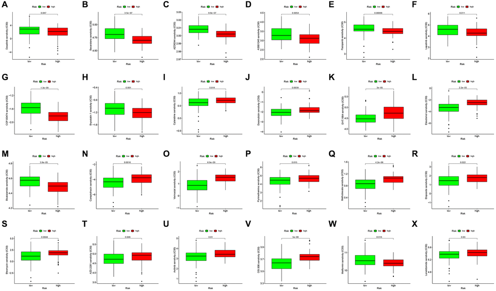 Drug sensitivity analysis to drugs of high- and low-risk subgroups. Differential chemotherapeutic responses in high- and low-risk patients (A–X).