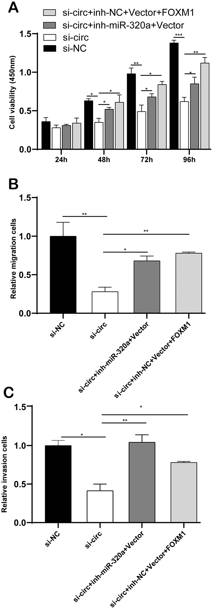 CircCCDC66 promotes cell progression via FOXM1 and miR-320a pathways in glioma. (A) CCK-8 assays were used to evaluate cell viability after transfection in U373 cells. (B, C) Transwell assays of SW13783 and U373 cells after transfection. *P P 