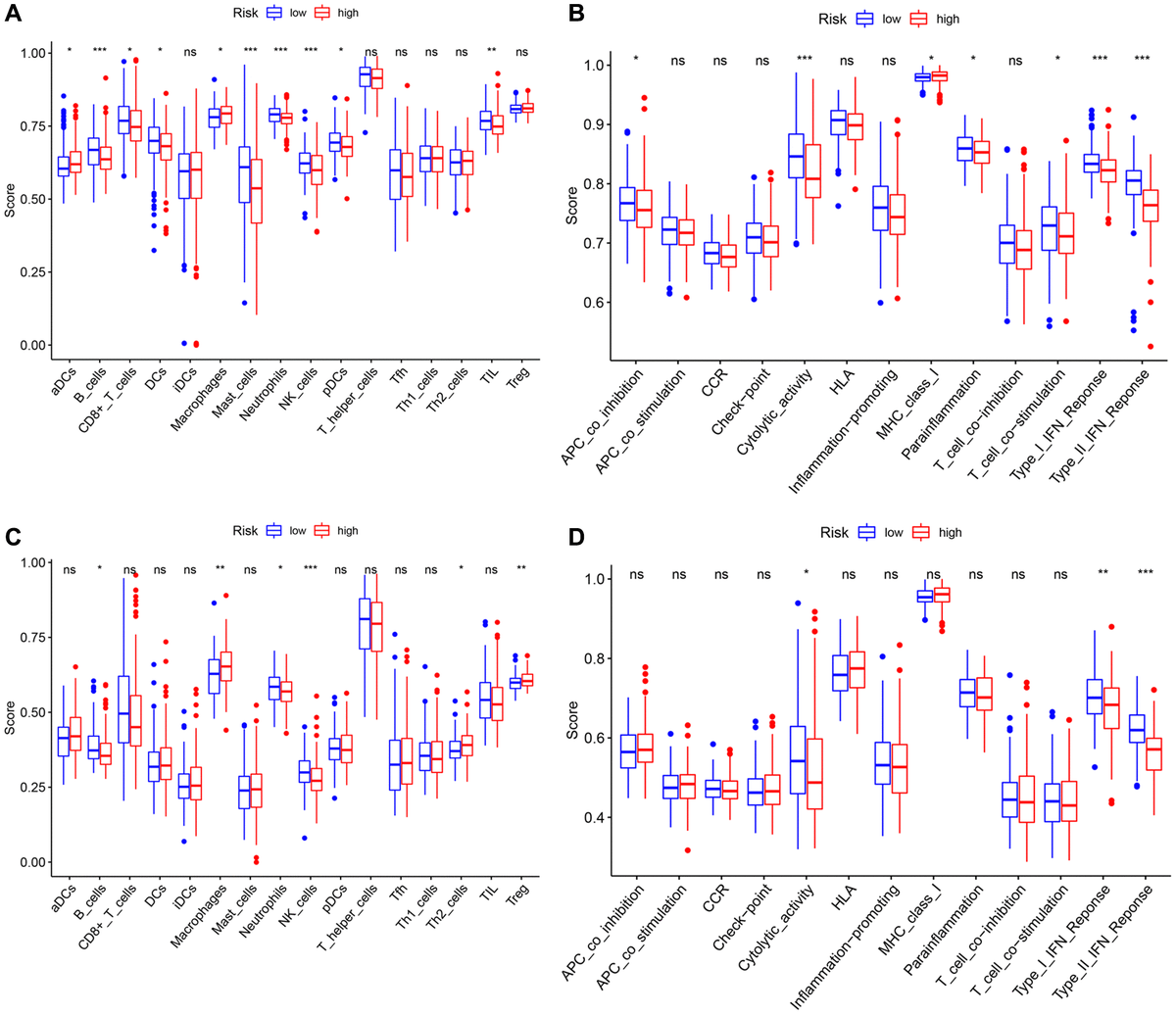 Comparison of the ssGSEA scores between different risk groups in the TCGA cohort and the ICGC cohort. The scores of 16 immune cells (A, C) and 13 immune-related functions (B, D) are displayed in boxplots. P values were showed as: ns: not significant; *P **P ***P 