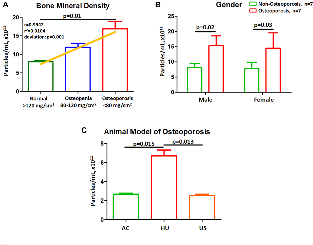Plasma EVs concentrations correlate to BMD and gender. (A) EV concentration grouped by obtained BMD value. Linear regression analysis was performed for EV concentration using a cohort of 7 normal controls, 7 Osteopenia and 7 Osteoporotic patients. (B) EV concentration in male and female were compared between osteoporotic and non-osteoporotic individuals. (C) Effects of hindlimb unloading and salubrinal on EV concentration in a mouse model of osteoporosis.