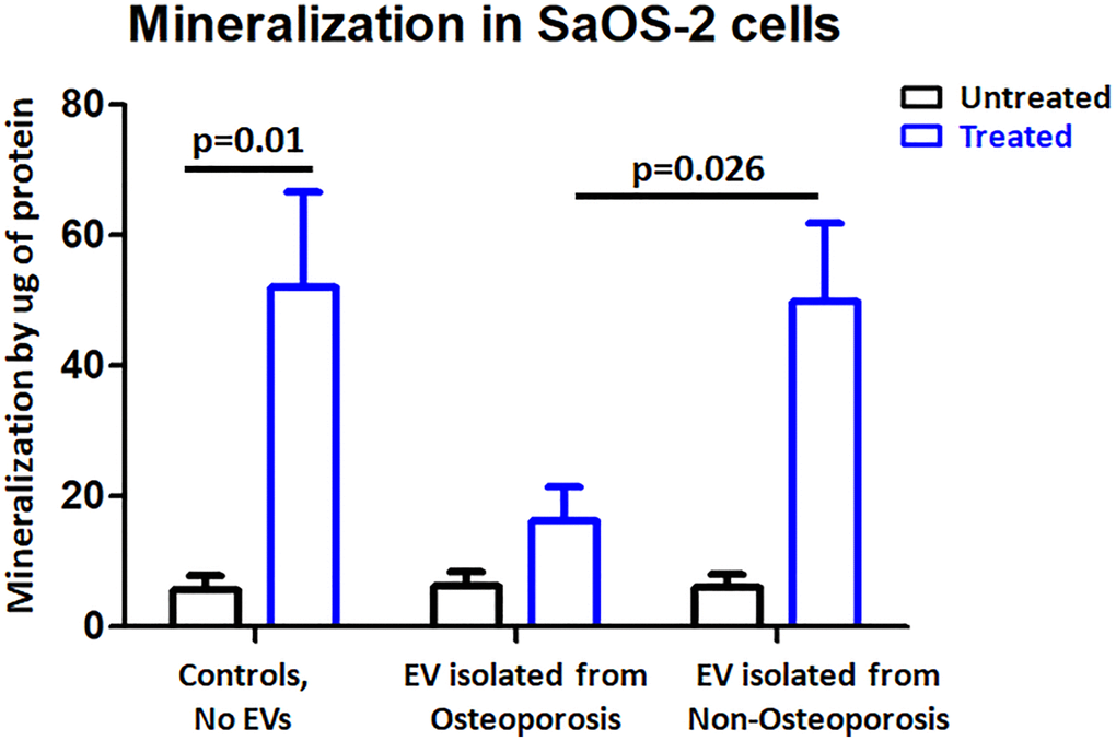 Osteoporosis derived EVs resulted in reduced mineralization in SaOS-2 cells. Mineralization quantification in control cells and EV-treated cells in either the presence of osteogenic factors (treated) or the absence (untreated). Bar-plot of n = 3 independent experiments ± SEM to quantify mineralization; Results were analyzed by one-way analysis of variance (ANOVA) and Bonferroni post hoc tests.