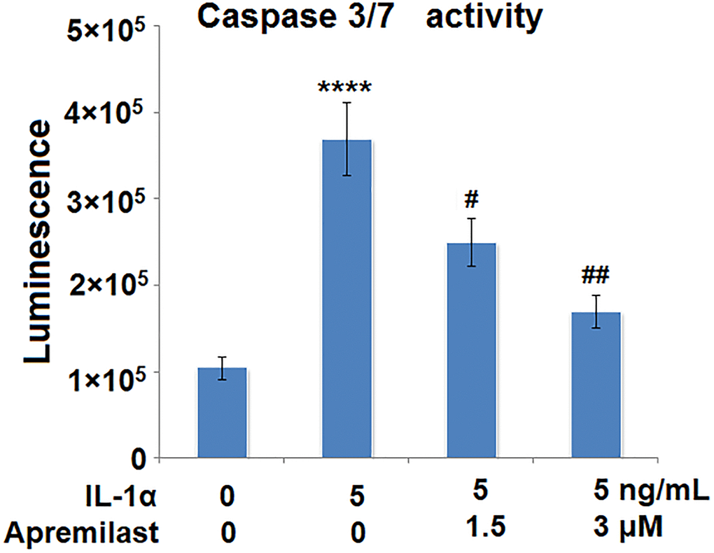 Apremilast mitigated IL-1α-induced apoptosis in ESCs. Cells were stimulated with 5 ng/mL IL-1α in the presence or absence of 1.5 or 3 μM Apremilast for 12 h. The activity of caspase 3/7 as measured using a commercial kit (****P #, ##, P N = 5–6).