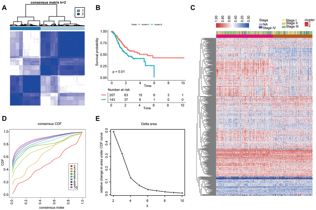 Unsupervised clustering analysis of 881 IRGs. (A, D, E) Classification of the TCGA-STAD cohort into two groups. (C) Landscape of the expression of 881 IRGs in the TCGA-STAD cohort. (B) Kaplan-Meier OS curves in the training cohort based on clusters.