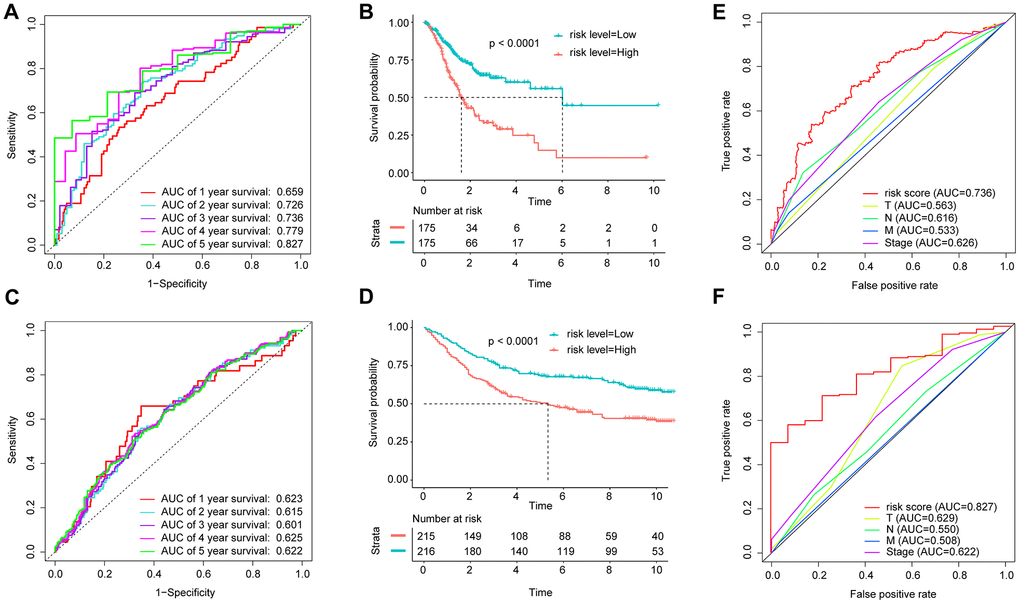 Application of the IBPS in predicting the survival of GAC patients. Kaplan-Meier survival curves of the hub RNAs in the ceRNA network. (A) ROC curve analysis of the immune-related gene signature for the prediction of OS at 1, 2, 3, 4, and 5 years in the TCGA cohort; (B) Kaplan-Meier curves of OS in all GAC patients in the TCGA cohort based on the risk score; (C) ROC curve analysis of the immune-related gene signature and TNM stage for the prediction of OS at 3 years in the TCGA cohort; (D) ROC curve analysis of the immune-related gene signature for the prediction of OS at 1, 2, 3, 4, and 5 years in the GEO cohort; (E) Kaplan-Meier curves of OS in all GAC patients in the GEO cohort based on the risk score; (F) ROC curve analysis of the immune-related gene signature and TNM stage for the prediction of OS at 5 years in the TCGA cohort.