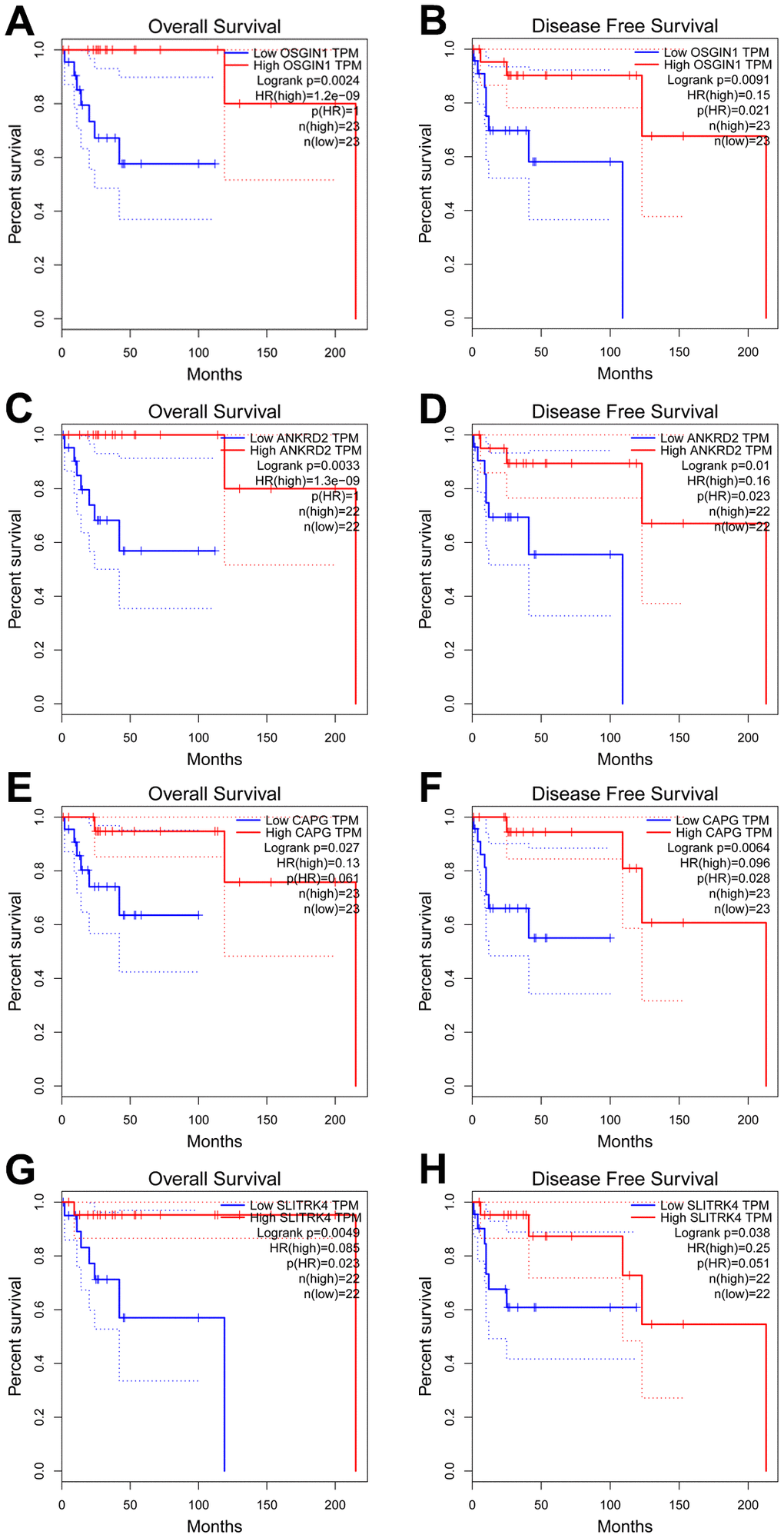 Prognostic analysis of genes correlated with CDH23 in DLBCL (GEPIA). (A, B) The relationship between OSGIN1 expression and overall survival and disease free survival of DLBCL patients. (C, D) The relationship between ANKRD2 expression and overall survival and disease free survival of DLBCL patients. (E, F) The relationship between CAPG expression and overall survival and disease free survival of DLBCL patients. (G, H) The relationship between SLITRK4 expression and overall survival and disease free survival of DLBCL patients.