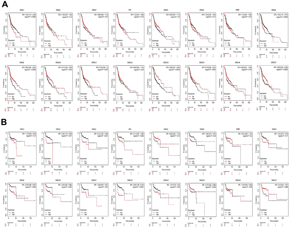 Prognostic value of CXC-motif chemokine ligands (CXCLs) in head and neck squamous cell carcinoma (HNSC). (A) Prognostic value of CXCLs for the overall survival of HNSC patients. (B) Prognostic value of CXCLs for the recurrence-free survival of HNSC patients.