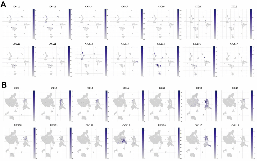 CXC-motif chemokine ligand (CXCL) expression in two single-cell datasets. CXCL expression in different immune cells in (A) HNSC