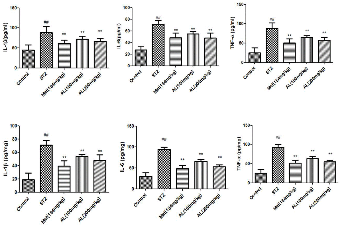 Cytokines in serum and hippocampus. Values are expressed as means±SDs. Compared with control: # P##P