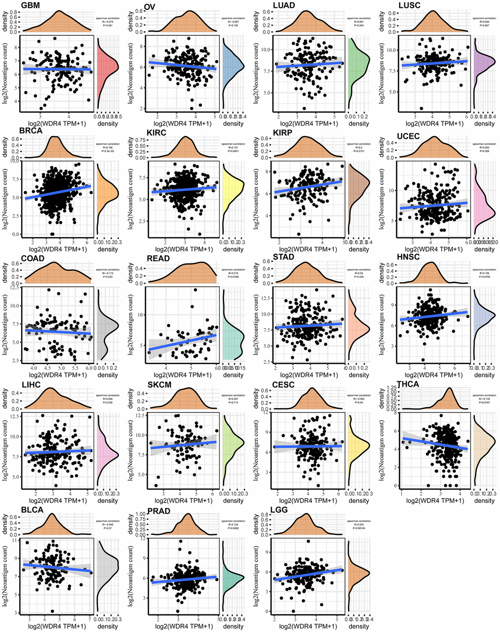 Relationship between the number of neoantigens and gene expression in each tumour.