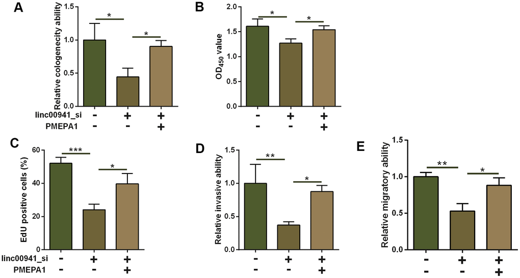 Overexpression of PMEPA1 attenuated the suppressive effects of linc00941 knockdown on ESCC cell progression. (A) Colony formation assay, (B) CCK-8 assay and (C) EdU assay determined the KYSE-510 cell proliferation. KYSE-510 cells were co-transfected with NC