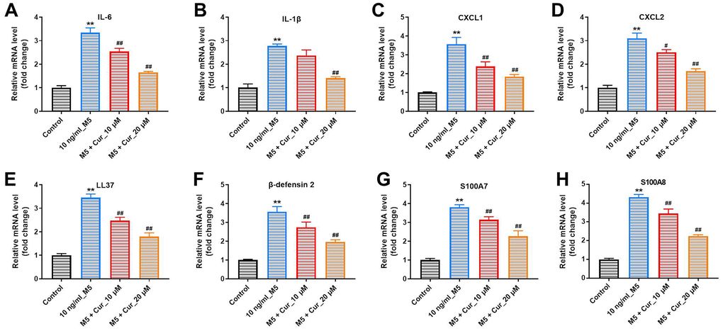 Curcumol suppresses inflammatory gene expression in M5-treated NHEK cells. NHEK cells were preincubated with curcumol (10 or 20 μM) for 24 h, stimulated with M5 (10 ng/mL) for 24 h, and gene expression of IL-6 (A), IL-1β (B), CXCL1 (C), CXCL2 (D), LL37 (E), β-defensin-2 (F), S100A7 (G), and S100A8 (H) was analyzed by RT-qPCR. **P#P##P<0.01 compared with 10 ng/mL