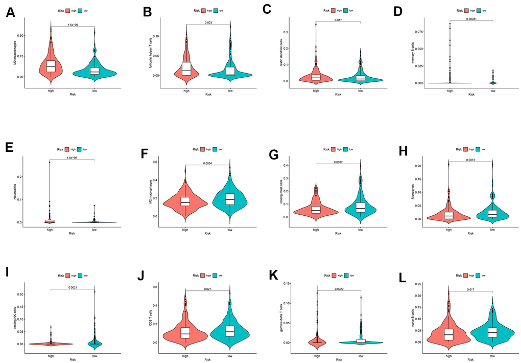 The different immune infiltration in the high and low risk HCC patients. (A–E) The expression of five types of immune cells is higher in high risk group compared with low risk group. (F–L) The expression of seven types of immune cells is higher in low risk group compared with high risk patients.