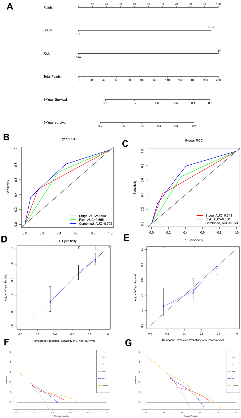 Nomogram to predict 3- and 5- year OS and its validation in HCC patients. (A) Nomogram to predict 3- and 5- year OS of HCC patients. (B, C) ROC curves to assess the accuracy of nomogram to predict 3- and 5- year OS in HCC patients. (D, E) Calibration plot analysis to assess the accuracy of nomogram to predict 3- and 5- year OS in HCC patients. (F, G) DCA to assess the accuracy of nomogram to predict 3- and 5- year OS in HCC patients.