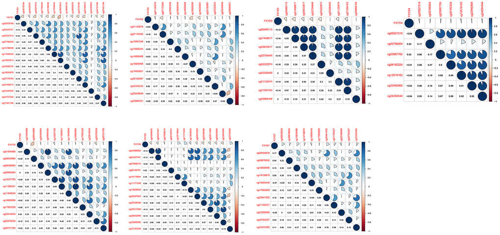 Correlation between methylation levels and expression of FXYD family members in CC.