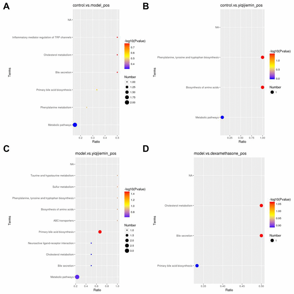 KEGG pathway enrichment analysis of differentially expressed serum metabolites in the AR model mice treated with YJD and dexamethasone. (A–D) KEGG enrichment analysis results show the top enriched KEGG pathways based on the differentially expressed serum metabolites between (A) control and AR model, (B) control and AR model plus YJD, (C) AR model and AR model plus YJD, and (D) AR model and AR model plus dexamethasone groups.